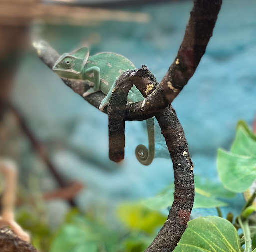 Pet Supply Store «Petco Animal Supplies», reviews and photos, 1933 South Rd, Poughkeepsie, NY 12601, USA