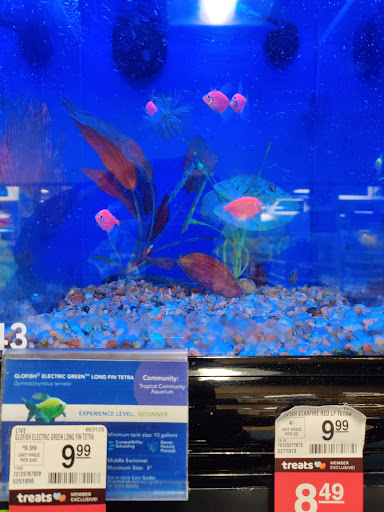 Pet Supply Store «PetSmart», reviews and photos, 215 Needham St, Newton, MA 02464, USA