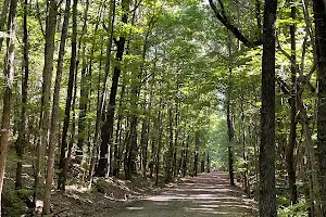 South Campus Mountain Bike Trails image