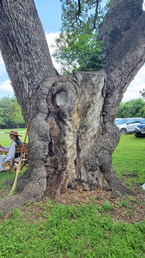 Local History Museum «Museum of Texas Handmade Furniture», reviews and photos, 1370 Churchill Dr, New Braunfels, TX 78130, USA
