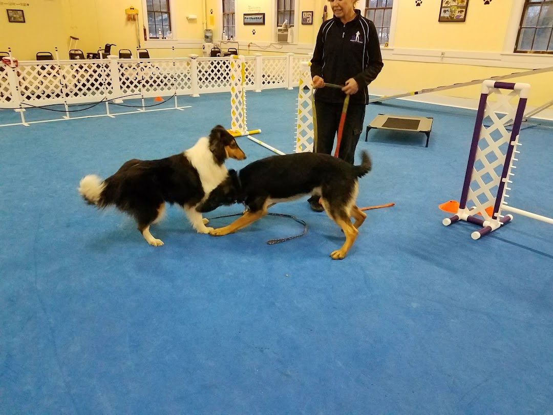 Ahead of the Pack Dog Training Center