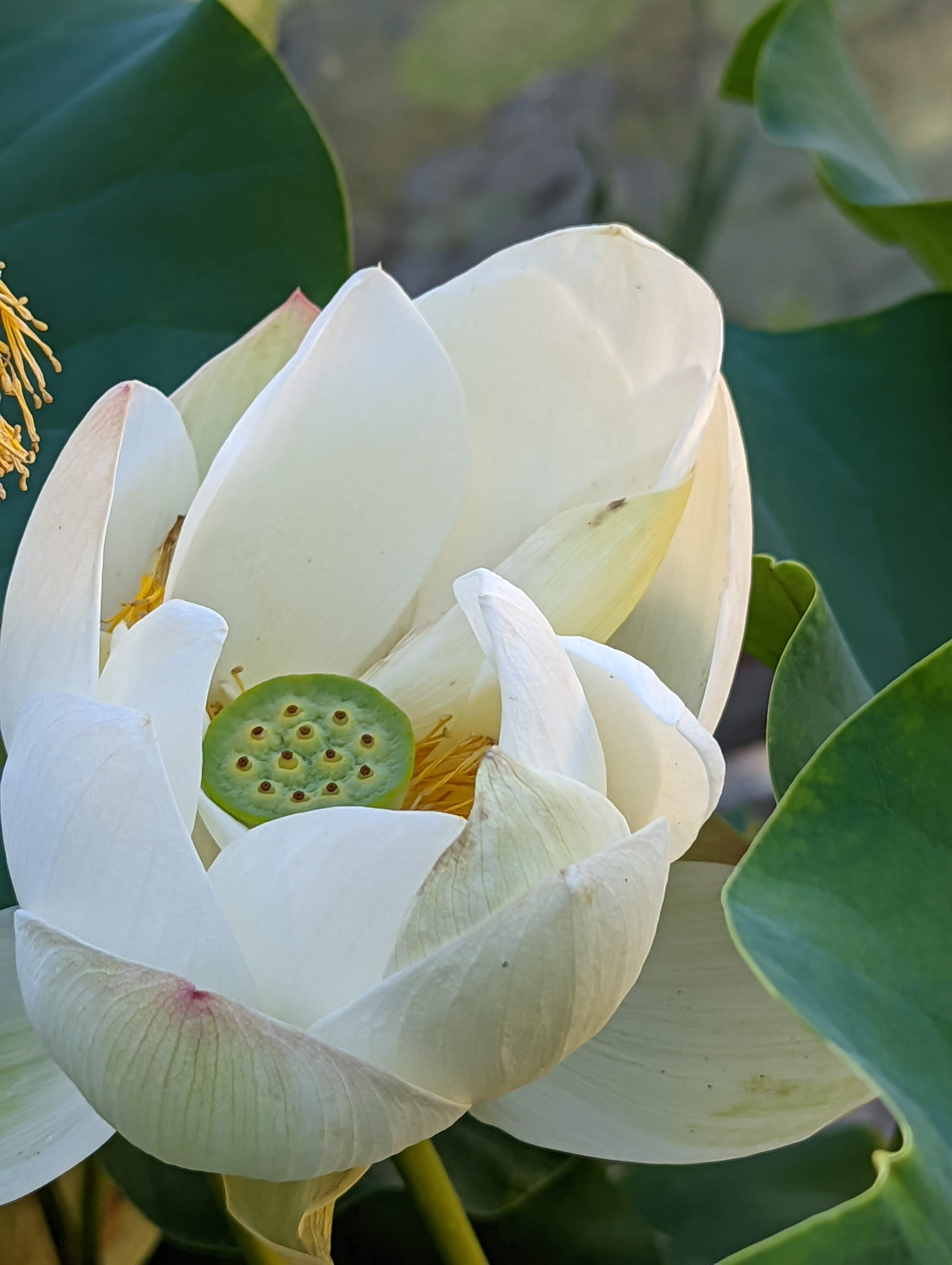 Photo n° 4 de l'avis de ERIC.A fait le 09/08/2022 à 12:40