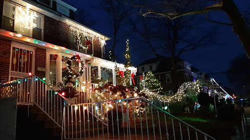 Dyker Heights Christmas Lights image 3
