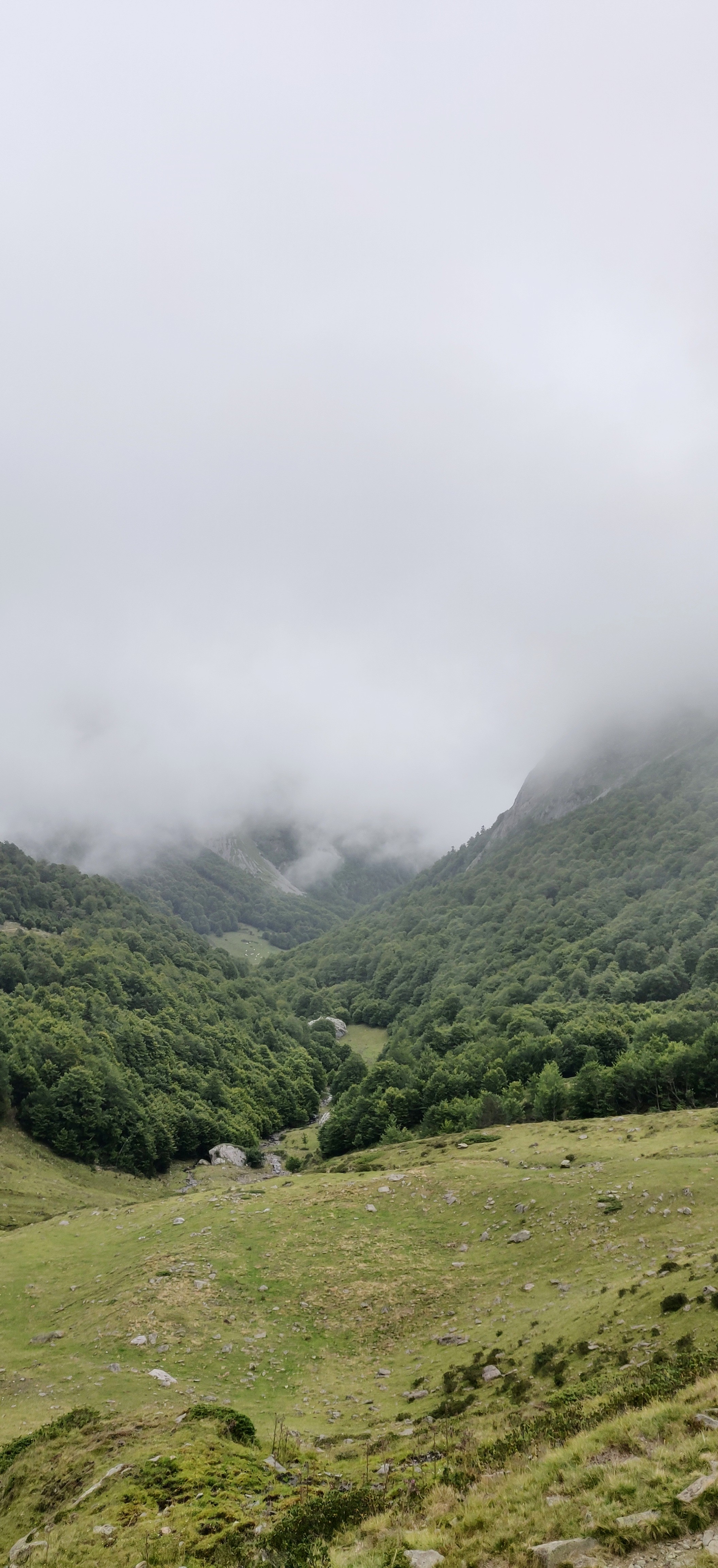 Photo n° 2 de l'avis de Clémentine.e fait le 26/08/2021 à 16:42