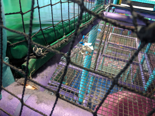 Amusement Center «Odyssey Fun World», reviews and photos, 3440 Odyssey Ct, Naperville, IL 60563, USA