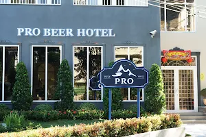 Pro Beer image