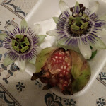 Photo n°1 de l'avis de primo.p fait le 22/01/2018 à 07:39 sur le  Bar Trattoria Venezia à Pordenone