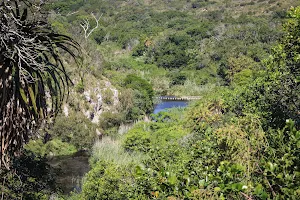 Lower Guinea-Fowl Trail image