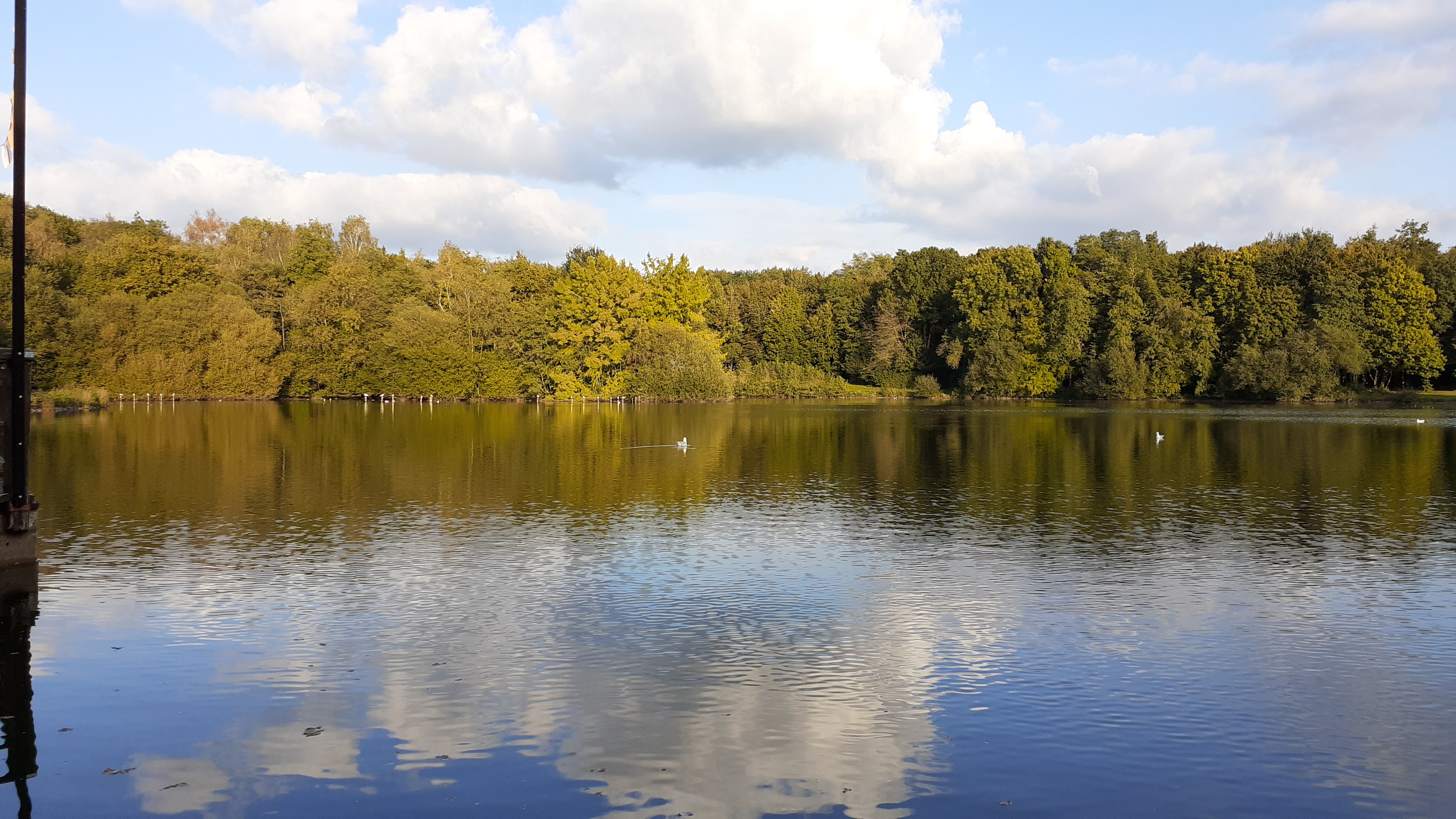 Photo n° 1 de l'avis de Thierry.O fait le 31/07/2019 à 07:44