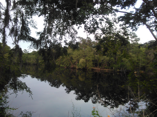 Seafood Market «Ocean Fish Market», reviews and photos, 302 Kingston St, Conway, SC 29526, USA