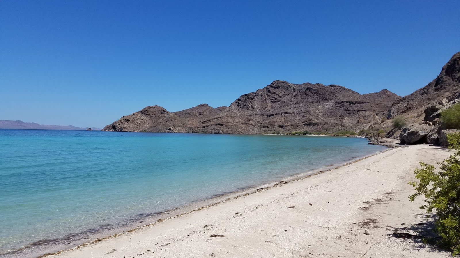 Playa El Coyote的照片 带有碧绿色纯水表面