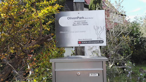 Olivenpark