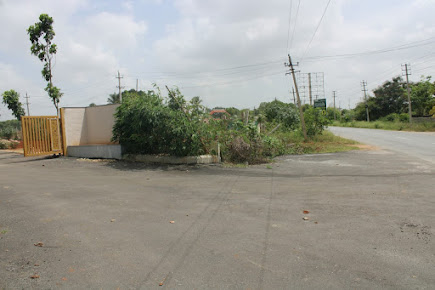 Google Maps image 19