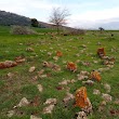 Buhara Tarihi Mezarlık