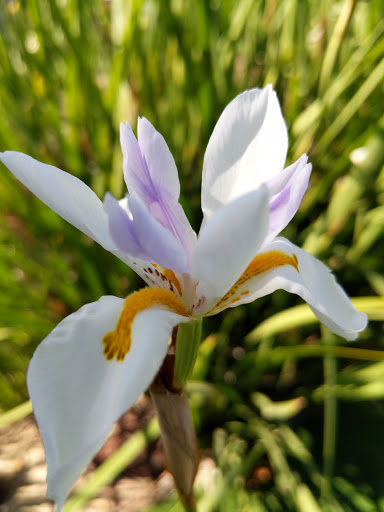 Miniature Golf Course «Golfland», reviews and photos