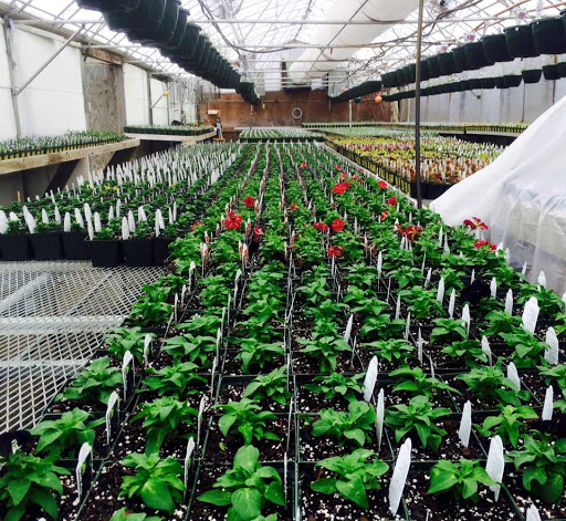 Produce Market «Kroul Farms», reviews and photos, 245 IA-1, Mt Vernon, IA 52314, USA