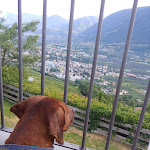 Photo n°1 de l'avis de Pascal.a fait le 08/07/2021 à 15:04 sur le  Hotel per Cani Mair am Ort à Tirol