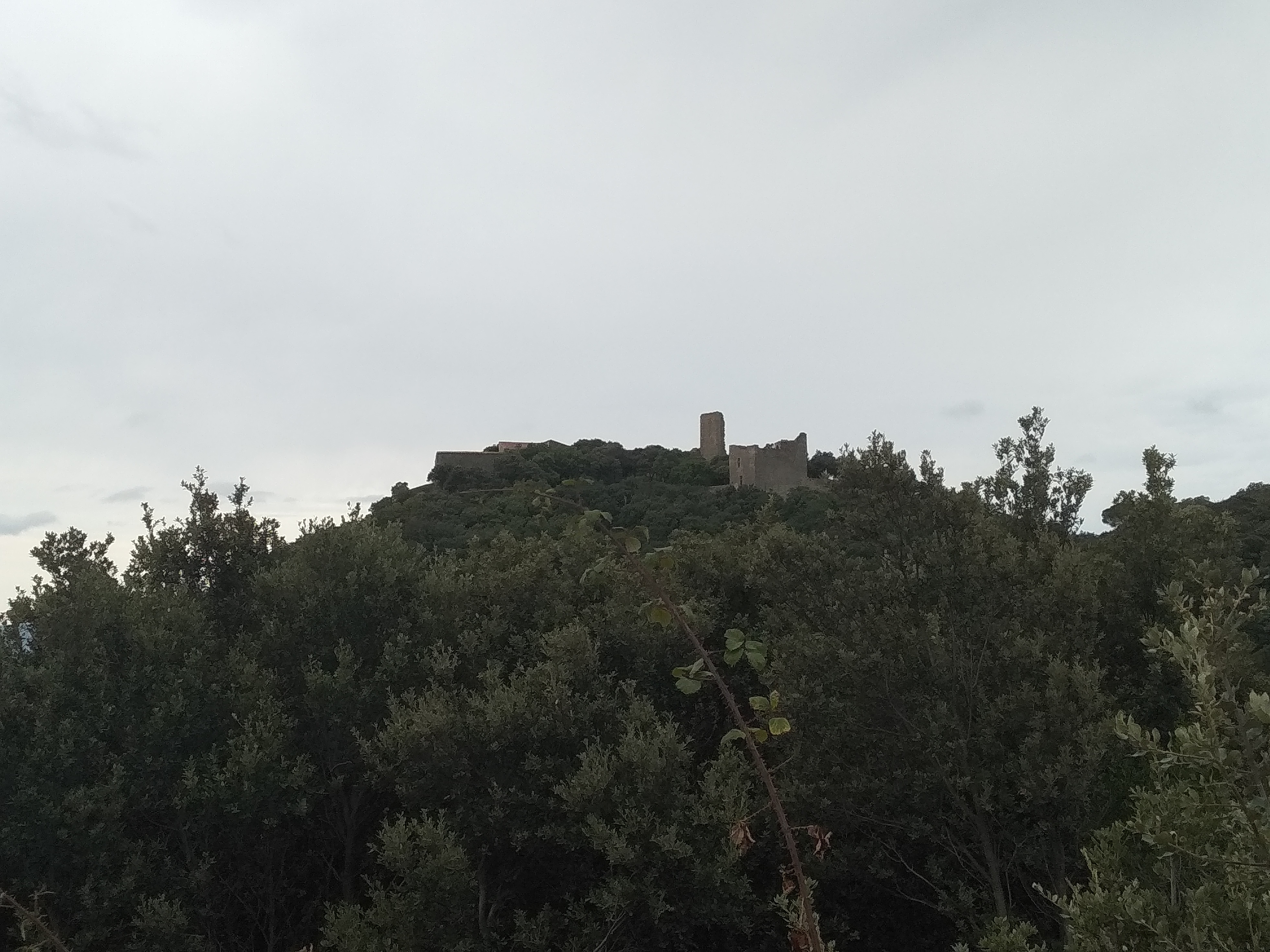 Photo n° 3 de l'avis de Delphine.h fait le 20/08/2019 à 16:07