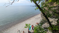 Ripley Beach'in fotoğrafı çok temiz temizlik seviyesi ile