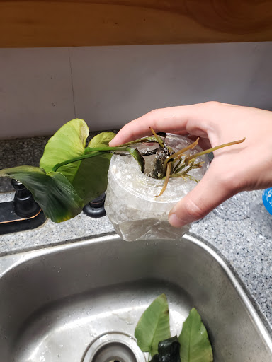 Pet Supply Store «PetSmart», reviews and photos, 14 Crossing Way #2, Augusta, ME 04330, USA