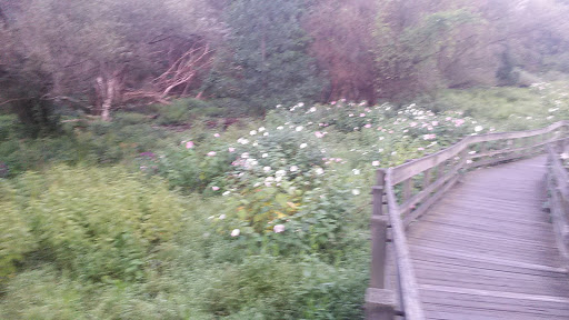 Park «Nature Center At Shaker Lakes», reviews and photos, 2600 S Park Blvd, Cleveland, OH 44120, USA