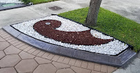 Design Borders and Landscaping - Photo 2 - Car repair in , Hialeah