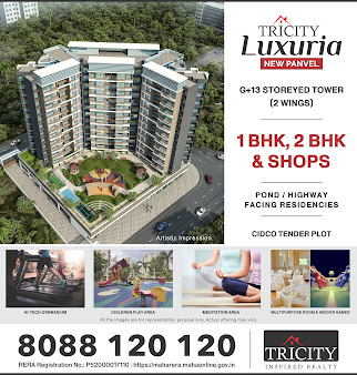 Google Maps image 20