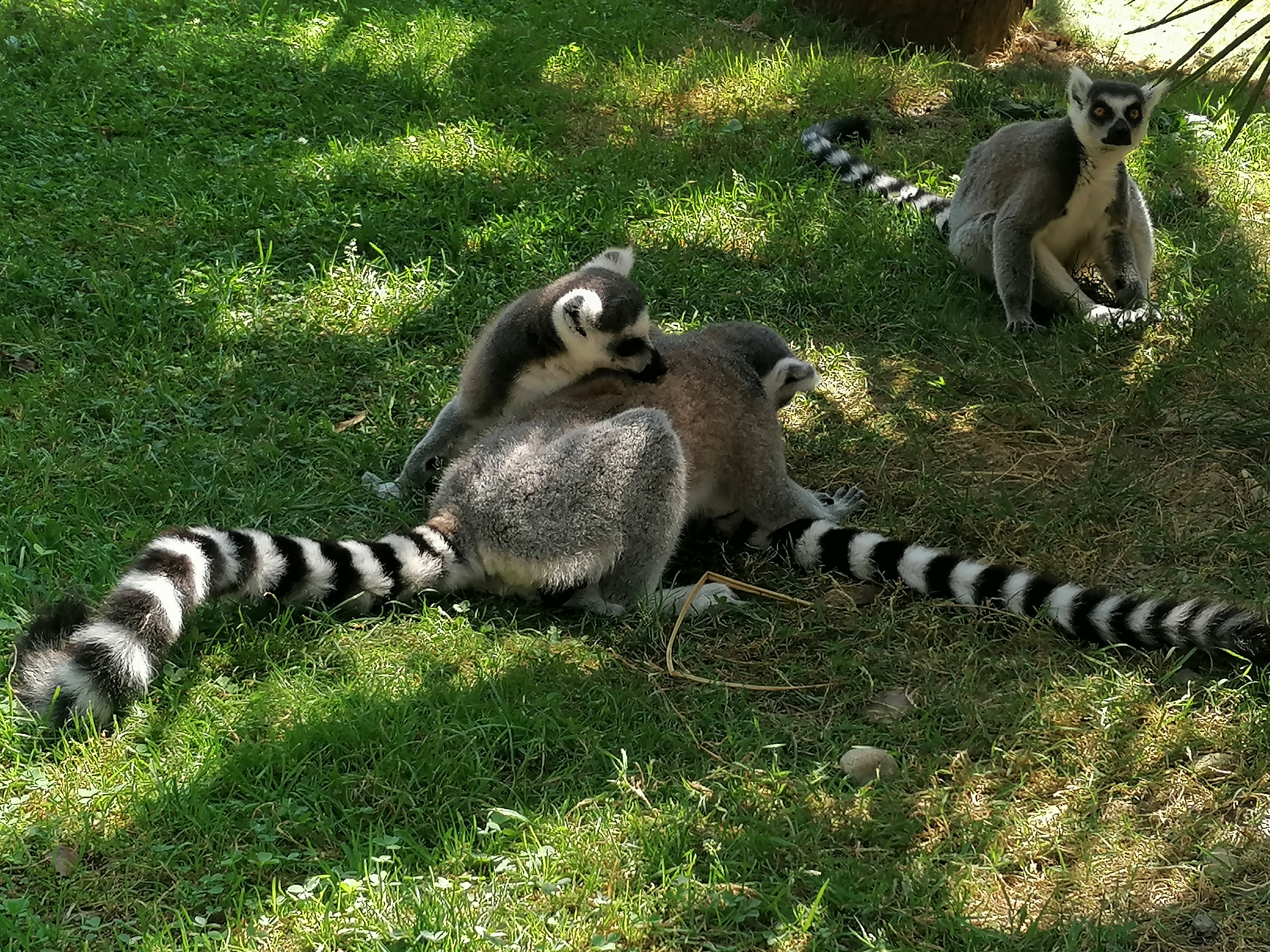 Photo n° 5 de l'avis de Gilles.. fait le 23/08/2023 à 12:57
