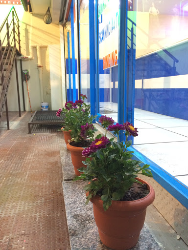 Ajay jumbo prints jumbo xerox