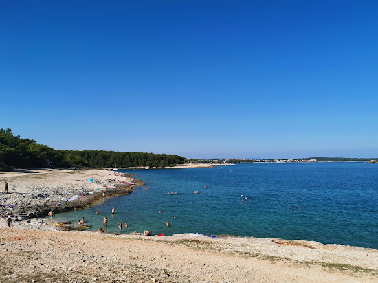 Drazice beach