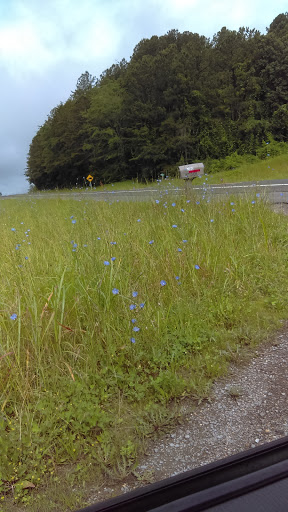 Stadium «Georgia Dome», reviews and photos, 1 Georgia Dome Dr, Atlanta, GA 30313, USA
