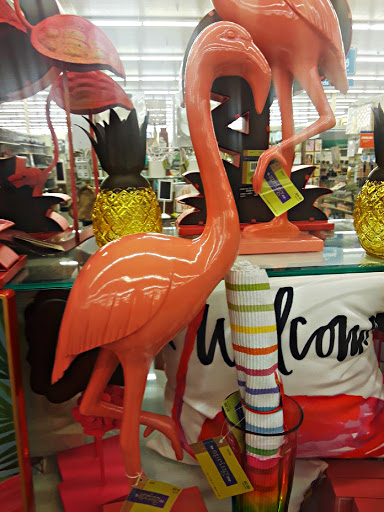 Craft Store «Hobby Lobby», reviews and photos, 8615 Little Rd, New Port Richey, FL 34654, USA