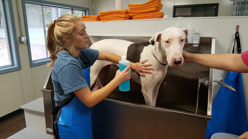 Pet Groomer «U Dirty Dog», reviews and photos, 232 Stevens Entry, Peachtree City, GA 30269, USA