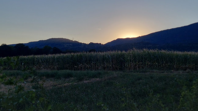 Römerbrunnenweg, 2540 Grenchen, Schweiz