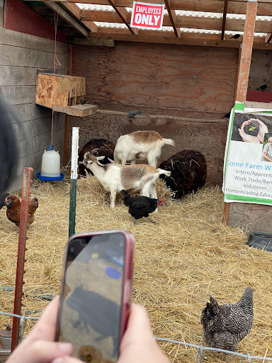 Farm «Bella Organic Farm», reviews and photos, 16205 NW Gillihan Rd, Portland, OR 97231, USA