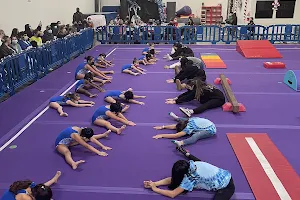 Majestic gymnastics image