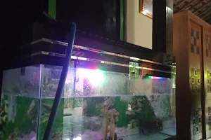 AGUNG AQUARIUM ( ikan Hias ) wedarijaksa pati jawa tengah image