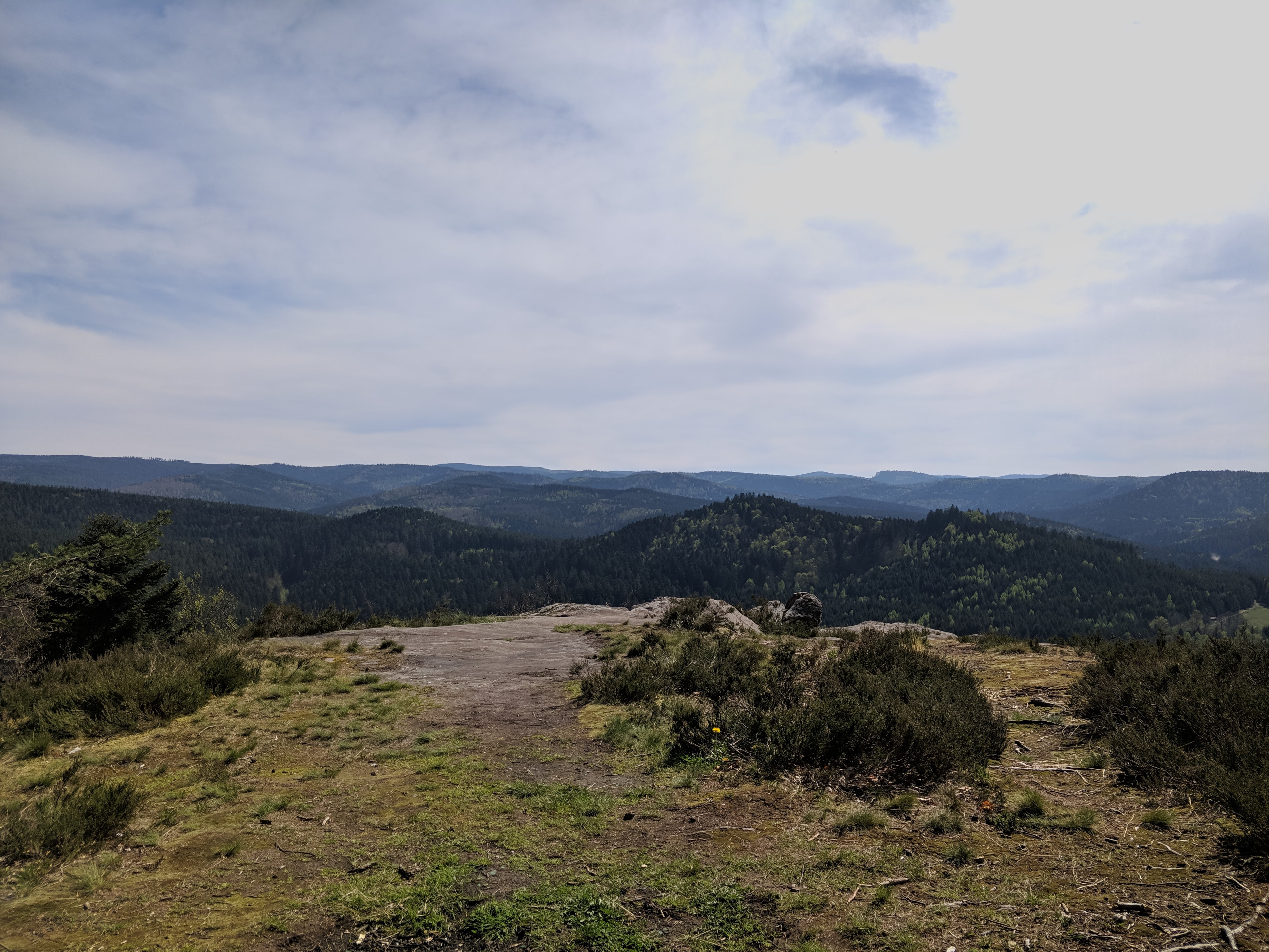 Photo n° 1 de l'avis de Florian.e fait le 28/04/2019 à 10:05