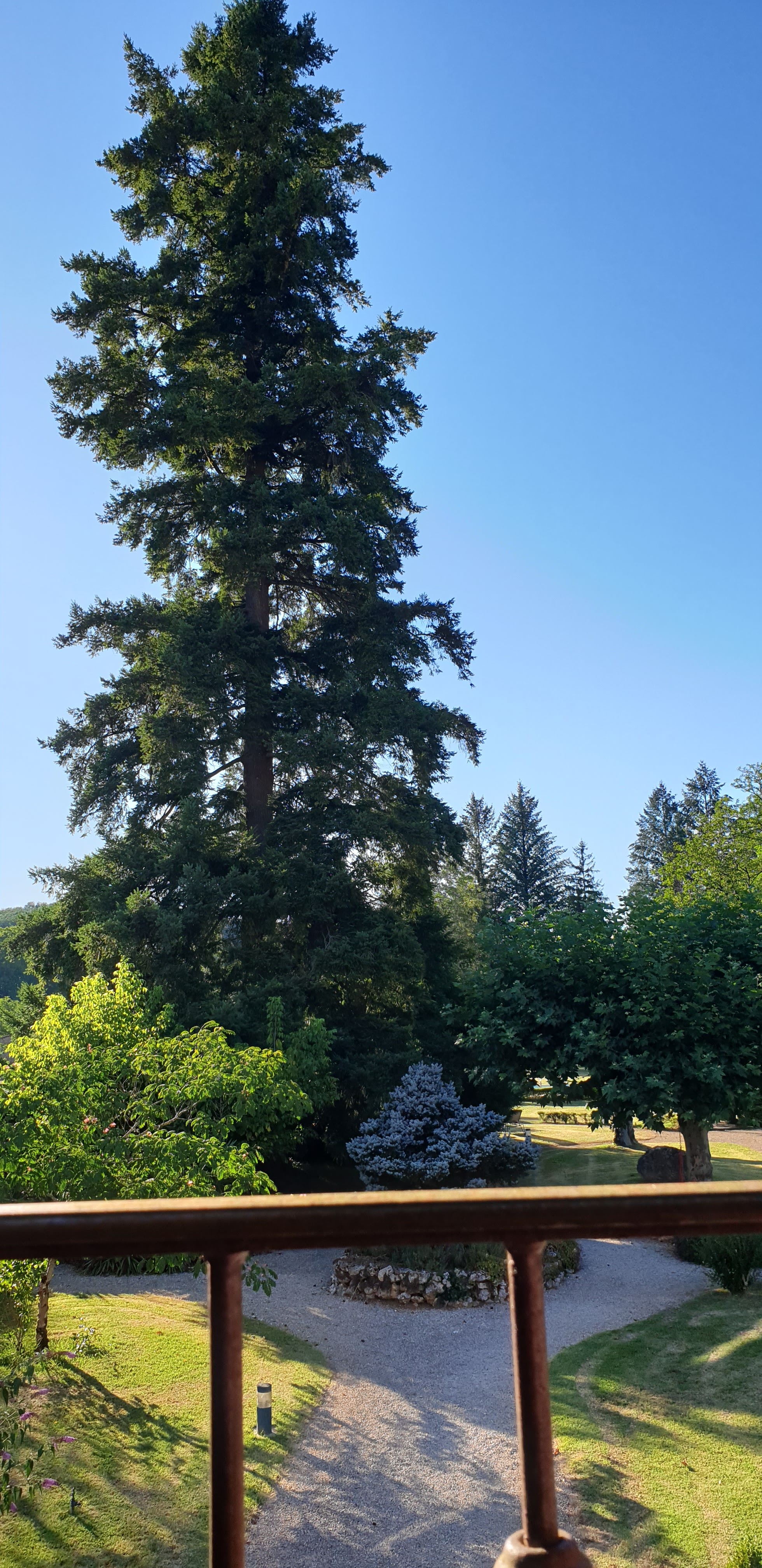 Photo n° 1 de l'avis de Sylvain.a fait le 13/07/2018 à 07:19