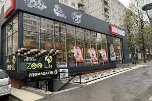 Zoomagazin și farmacie Zoolife image