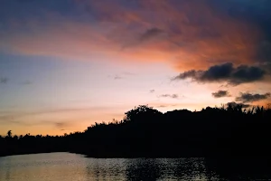 Lagoon boat tour and Bird watching with the beautiful nature (nature lover boat tours)🌴🌳🏞️🌴 image