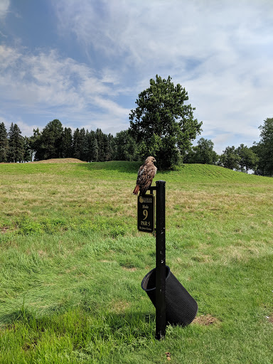 Golf Club «Lyman Orchards Golf Club», reviews and photos, 70 Lyman Rd, Middlefield, CT 06455, USA