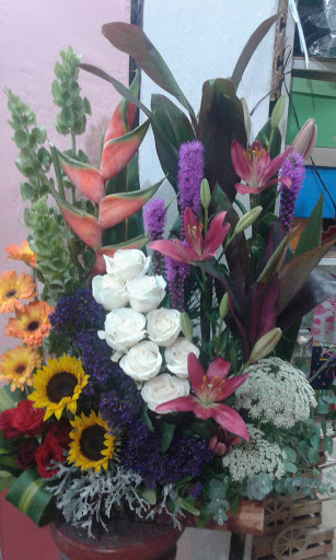 Floreria Florarte – Tequila
