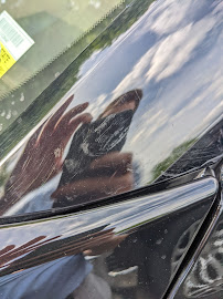 Carbone Collision Center - Photo 8 - Car repair in Utica, NY, Utica