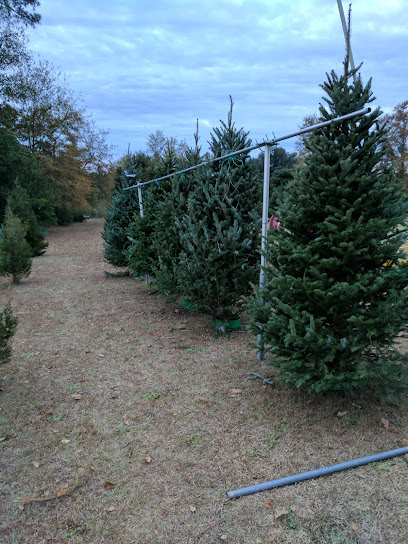 Gurley's Christmas Tree Farm