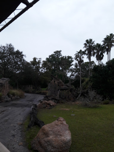 Park «North Glade Park», reviews and photos, 17355 NW 52nd Ave, Miami Gardens, FL 33055, USA