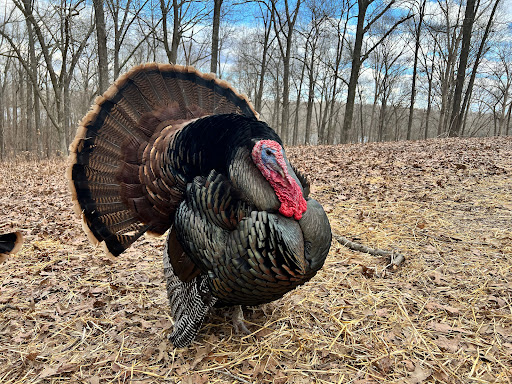 Tourist Information Center «Woodlands Nature Station», reviews and photos, 3146 Silver Trail Rd, Cadiz, KY 42211, USA