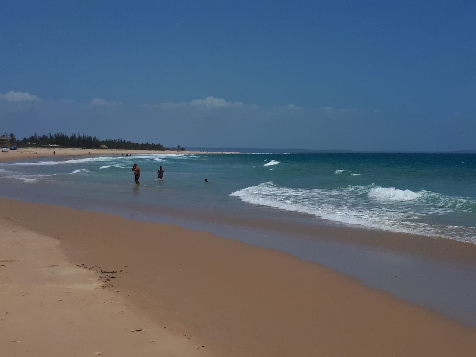 Praia da Barra photo #6