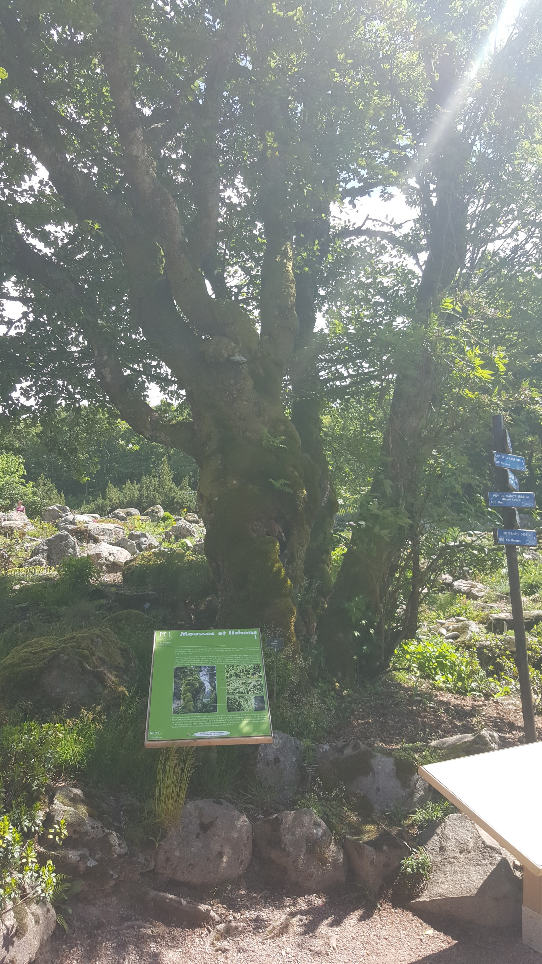 Photo n° 44 de l'avis de Jean-Sébastien.O fait le 23/06/2019 à 16:49