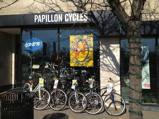 Papillon Cycles